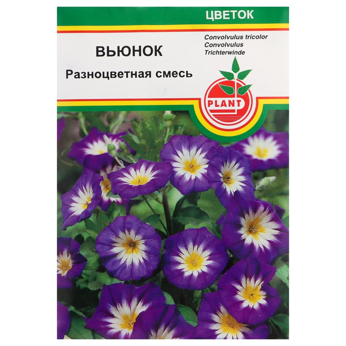 Семена цветов Вьюнок Разноцветная смесь 0,5 г Plant — фотография товара