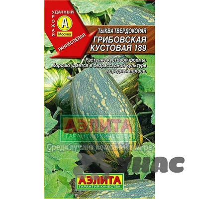 Семена Тыква Грибовская кустовая 189 Аэлита — фотография товара