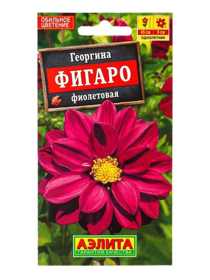 Семена цветов Георгина махровая Фигаро Фиолетовая Аэлита — фотография товара