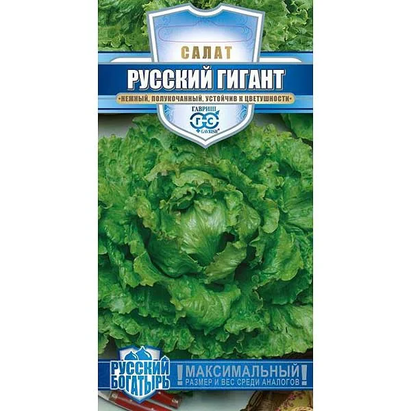 Семена Салат кочанный Русский богатырь Гавриш — фотография товара