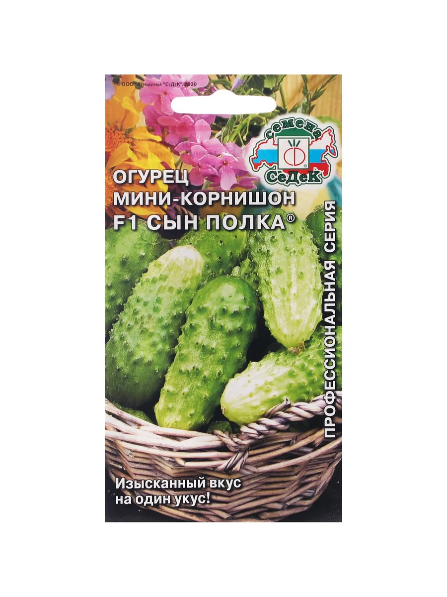 Семена Огурец Сын полка Седек — фотография товара