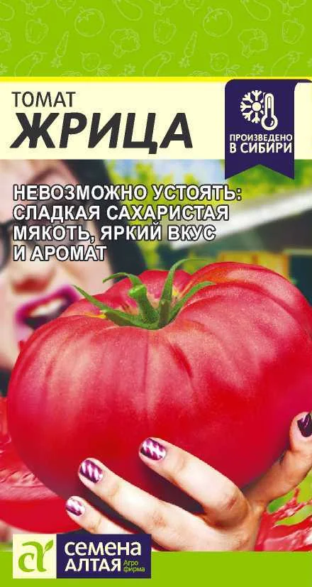 Семена Томат Жрица Семена Алтая — фотография товара