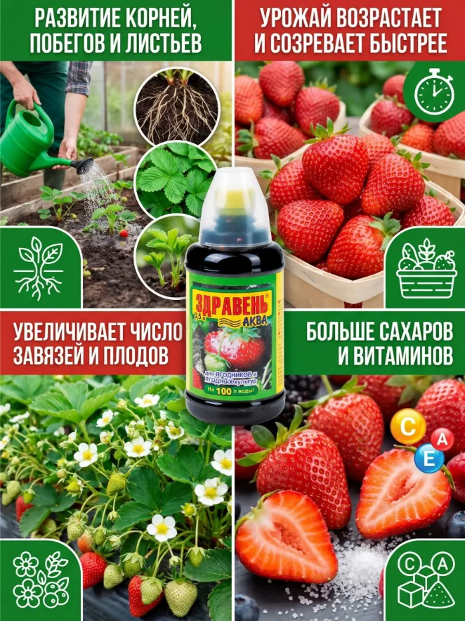 Удобрение жидкое для ягод Здравень аква 0,5 л — фотография товара