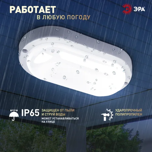 Светильник ЖКХ с/д Эра IP65 овал 8 Вт 6500К — фотография товара