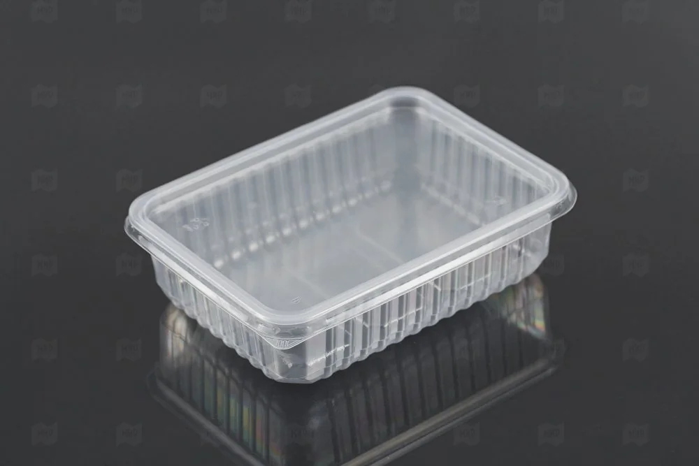 Контейнер пищевой одноразовый низкий 500 г 179х132 — фотография товара