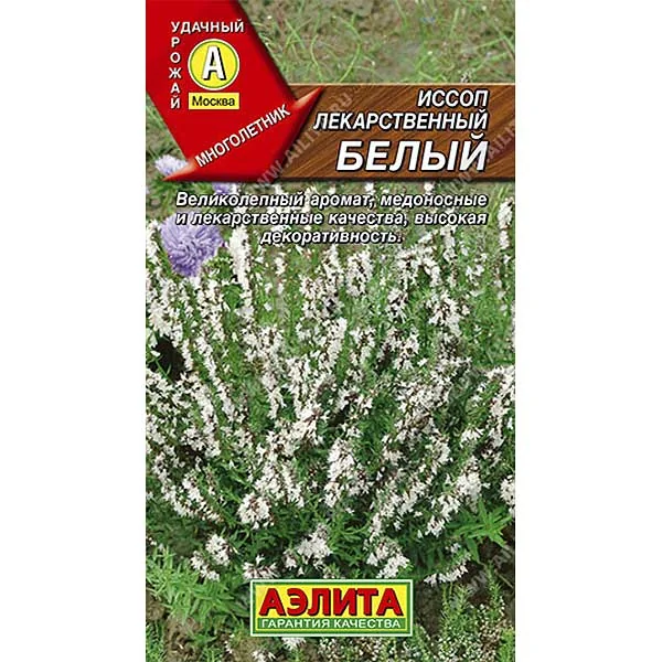 Семена Иссоп лекарственный белый Аэлита — фотография товара