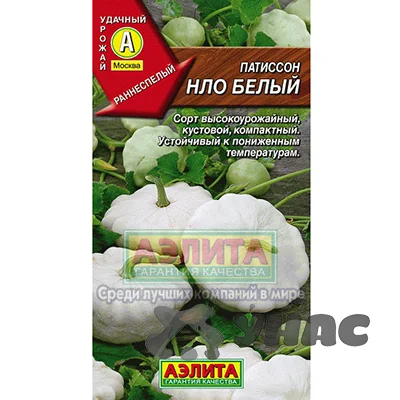 Семена Патиссон НЛО Белый Аэлита — фотография товара