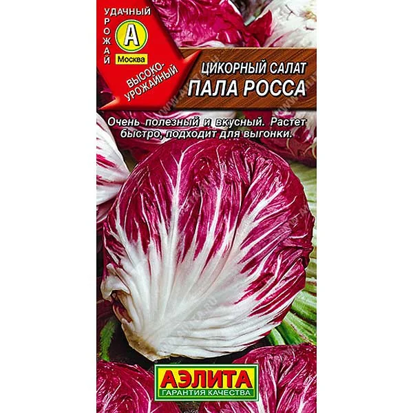 Семена Салат цикорный Пала Росса Аэлита — фотография товара