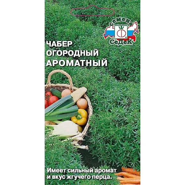Семена Чабер огородный аромат. Седек — фотография товара