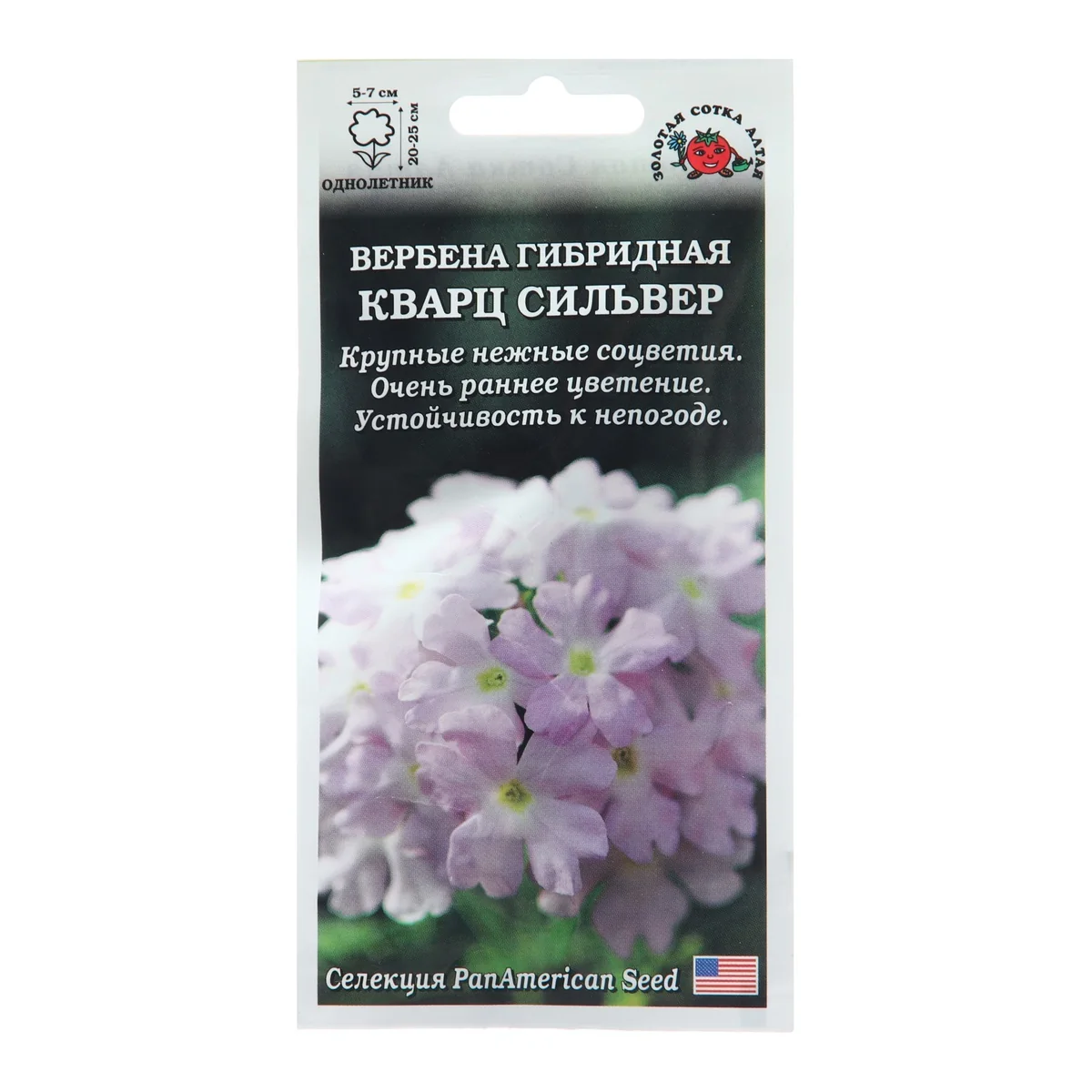 Семена Вербена Кварц Сильвер Золотая Сотка Алтая — фотография товара