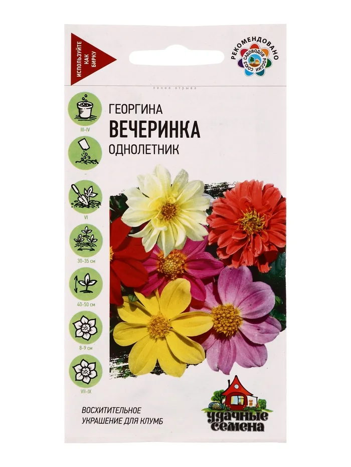 Семена цветов Георгина Вечеринка Удачные семена — фотография товара