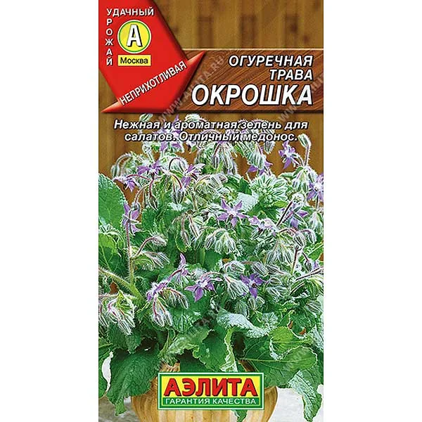 Семена Трава огуречная Окрошка Аэлита — фотография товара