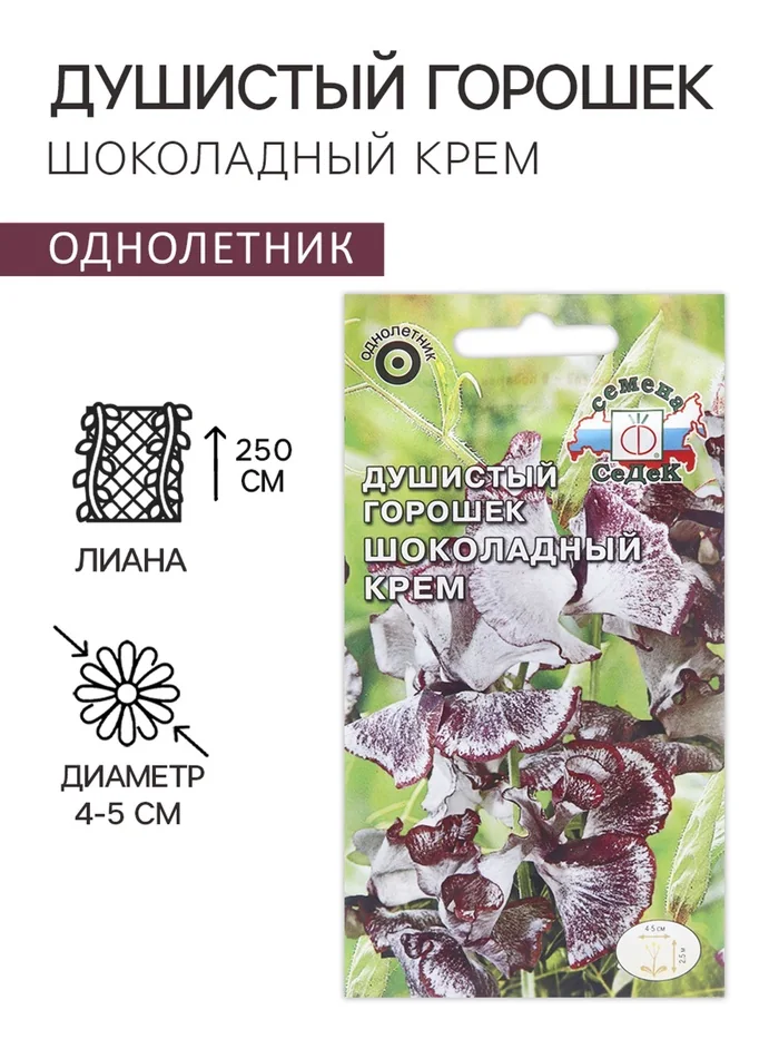 Семена цветов Душистый горошек Шоколадный крем Седек — фотография товара