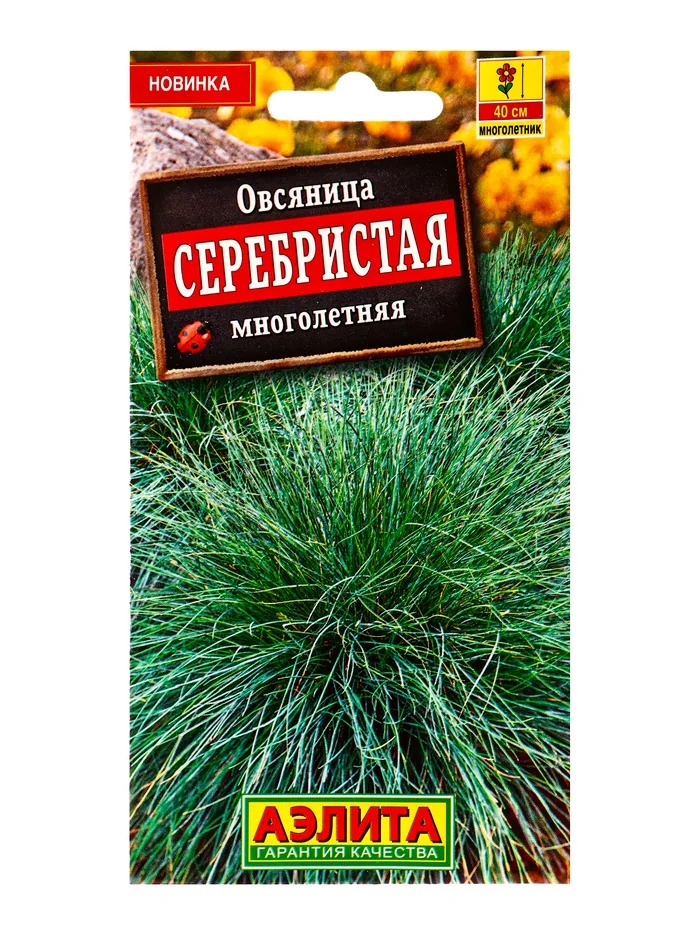 Семена цветов Овсяница многолетняя Серебристая Аэлита — фотография товара