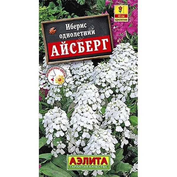 Семена цветов Иберис Айсберг Аэлита — фотография товара