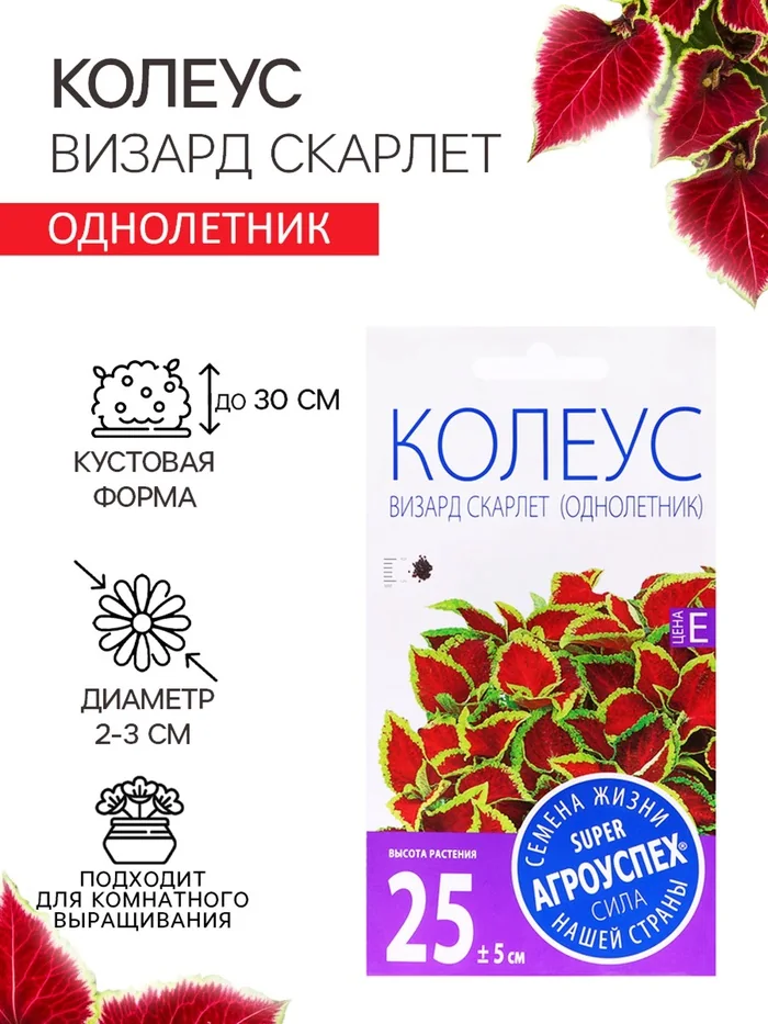 Семена цветов Колеус Визард Скарлет Агроуспех — фотография товара