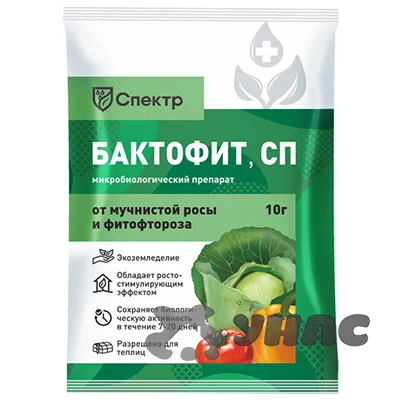 Средство от мучнистой росы и фитофтороза Бактофит 10 г Био-Мастер — фотография товара