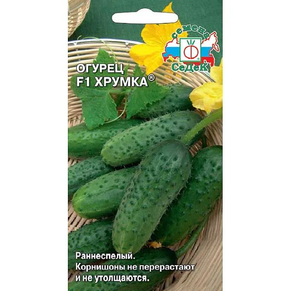 Семена Огурец Хрумка Седек — фотография товара