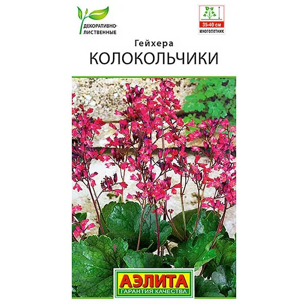 Семена цветов Гейхера Колокольчики Аэлита — фотография товара