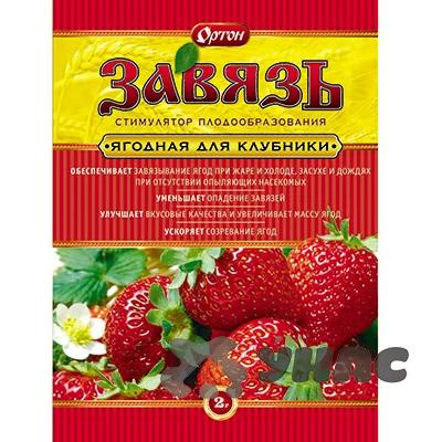Завязь для Клубники 2 г Ортон — фотография товара