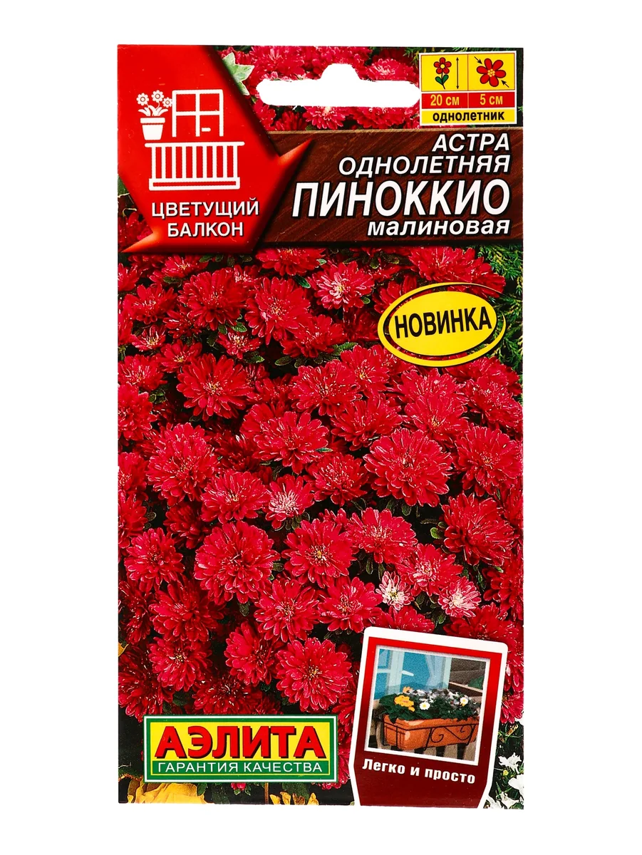 Семена цветов Астра Пиноккио малиновая Цветущий балкон Аэлита — фотография товара