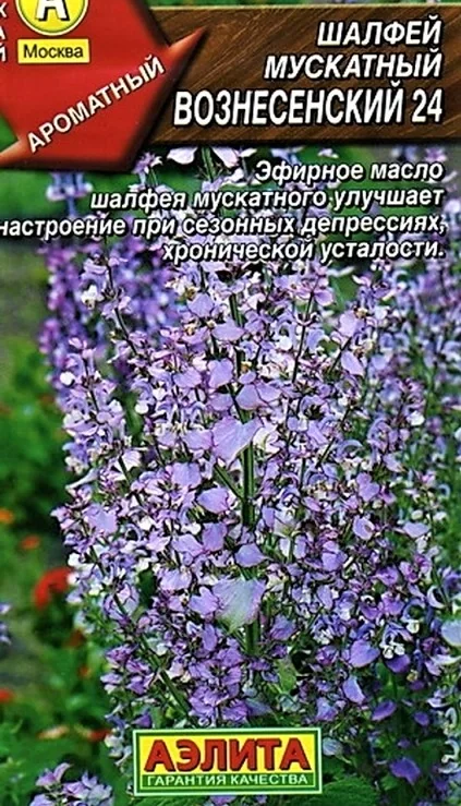 Семена Шалфей Вознесенский 24 0,2 г Аэлита — фотография товара