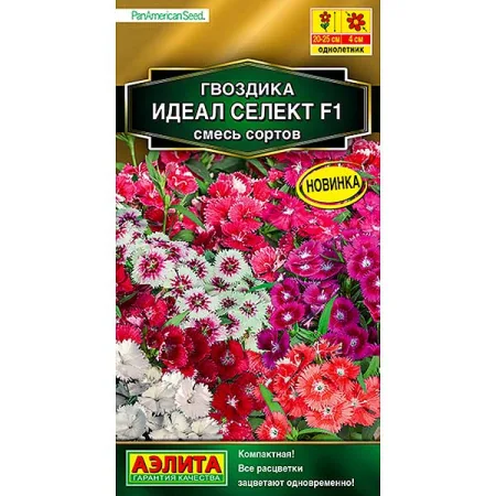 Семена цветов Гвоздика Идеал селект Аэлита — фотография товара
