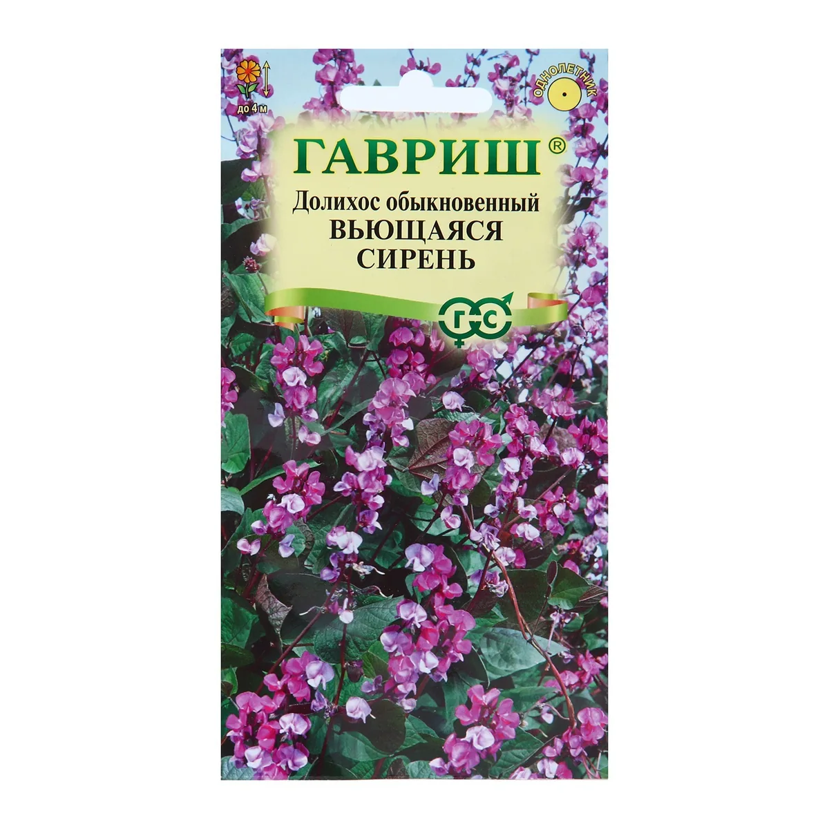 Семена цветов Долихос (Гиацинтовые бобы) "Вьющаяся сирень", 4 шт — фотография товара