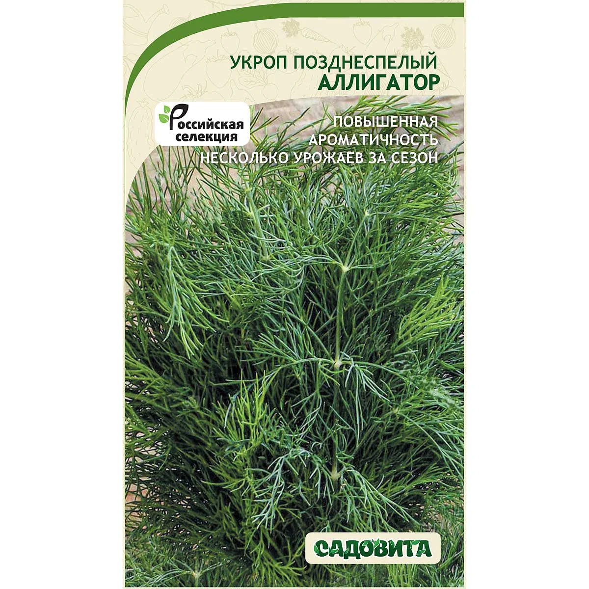 Семена Укроп Аллигатор Садовита — фотография товара