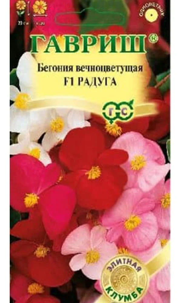 Семена цветов Бегония Радуга 7 шт Гавриш — фотография товара