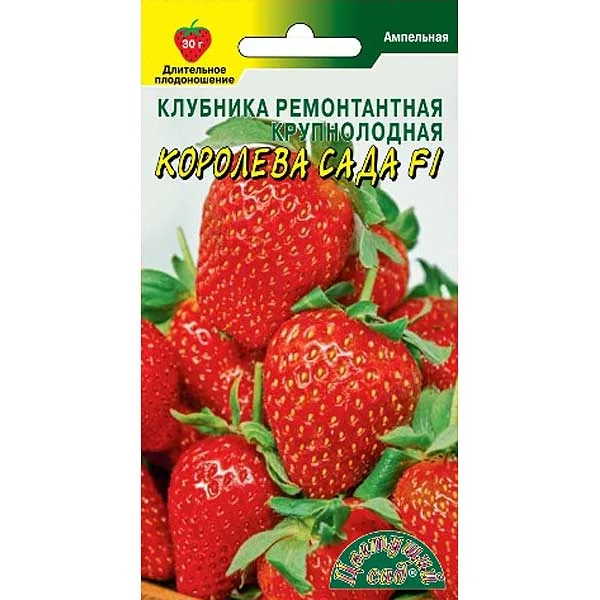 Семена Клубника Королева сада ЦветСад — фотография товара