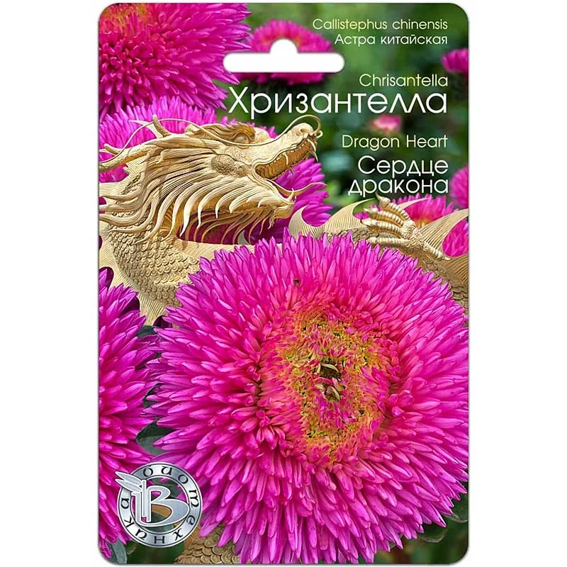 Семена цветов Астра Хризантелла Сердце дракона Биотехника — фотография товара
