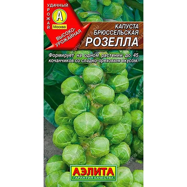 Семена Капуста брюссельская Розелла Аэлита — фотография товара