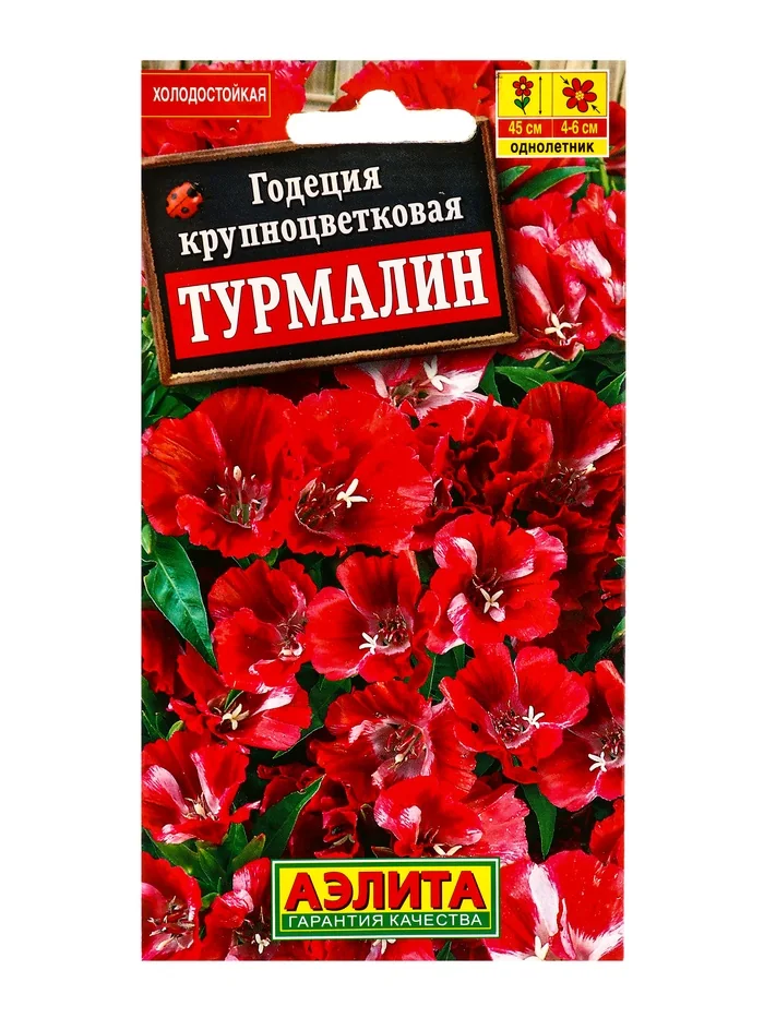 Семена цветов Годеция Турмалин Аэлита — фотография товара