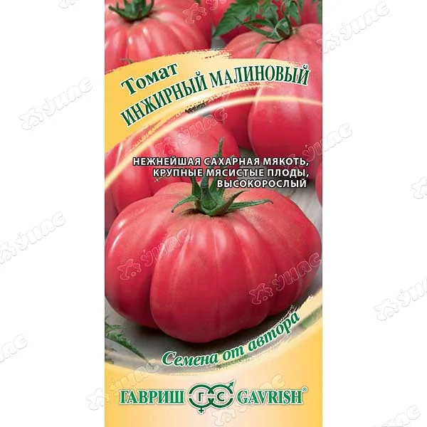 Семена Томат Инжирный малиновый Гавриш — фотография товара
