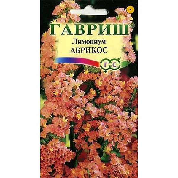Семена цветов Лимониум Абрикос Гавриш — фотография товара