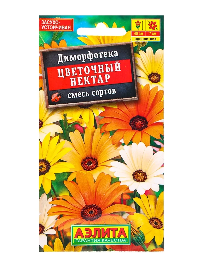 Семена цветов Диморфотека Цветочный нектар смесь Аэлита — фотография товара