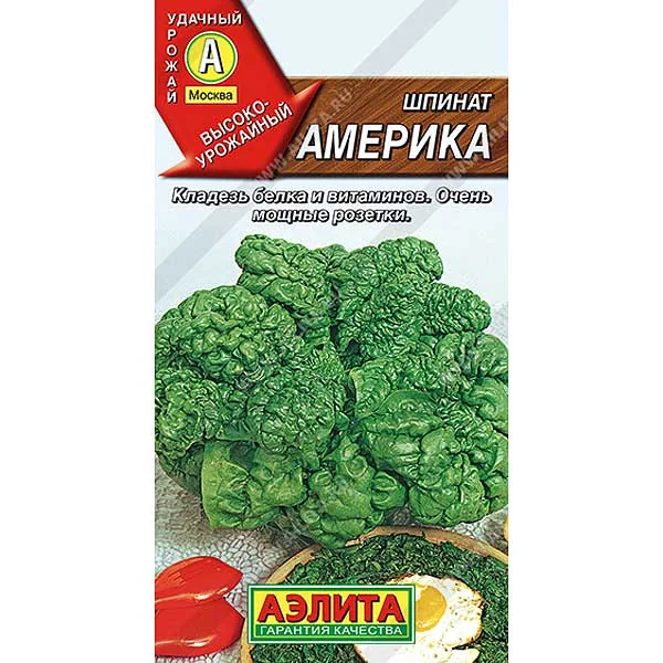 Семена Шпинат Америка Аэлита — фотография товара
