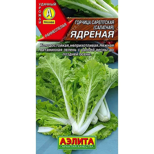 Семена Горчица салатная Ядреная Аэлита — фотография товара