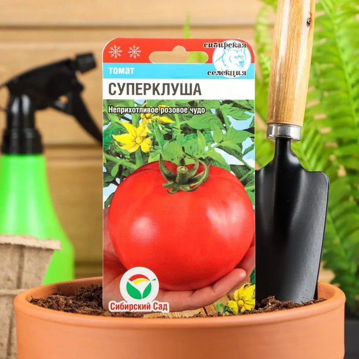 Семена Томат Суперклуша низкорос Сибирский сад — фотография товара