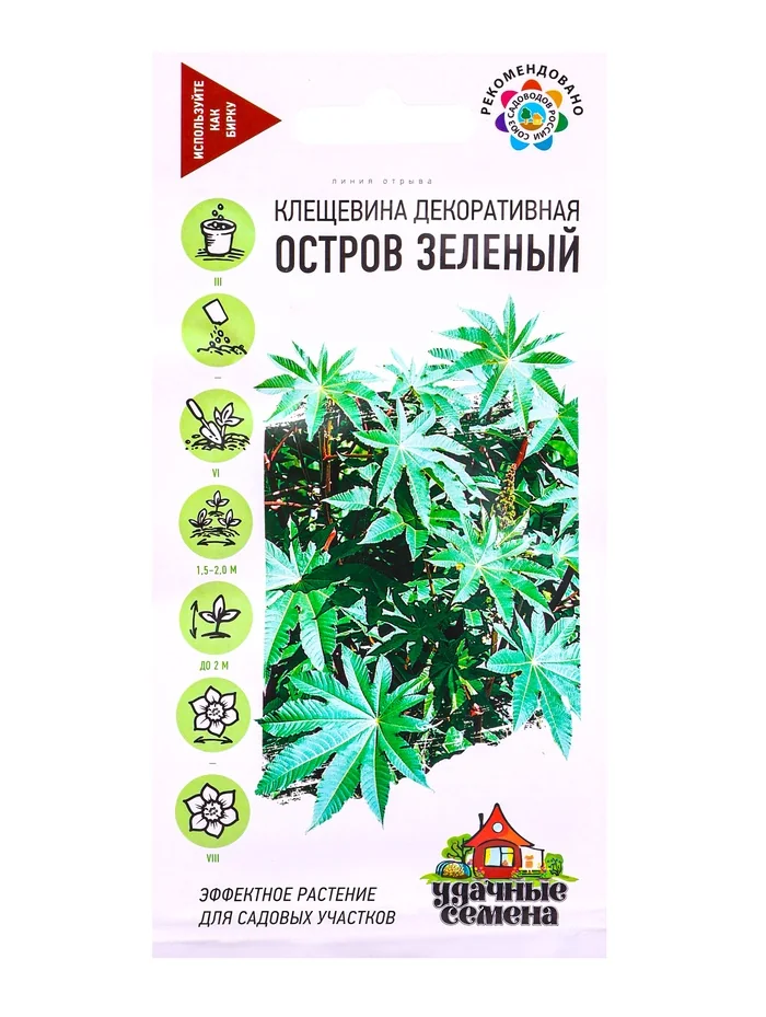 Семена цветов Клещевина Остров Зеленый 5 шт Удачные семена — фотография товара