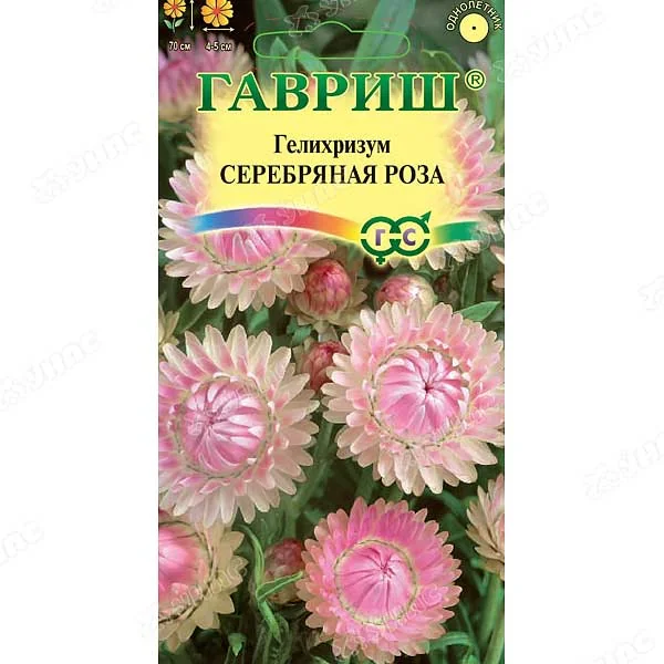 Семена цветов Гелихризум Серебряная роза Гавриш — фотография товара