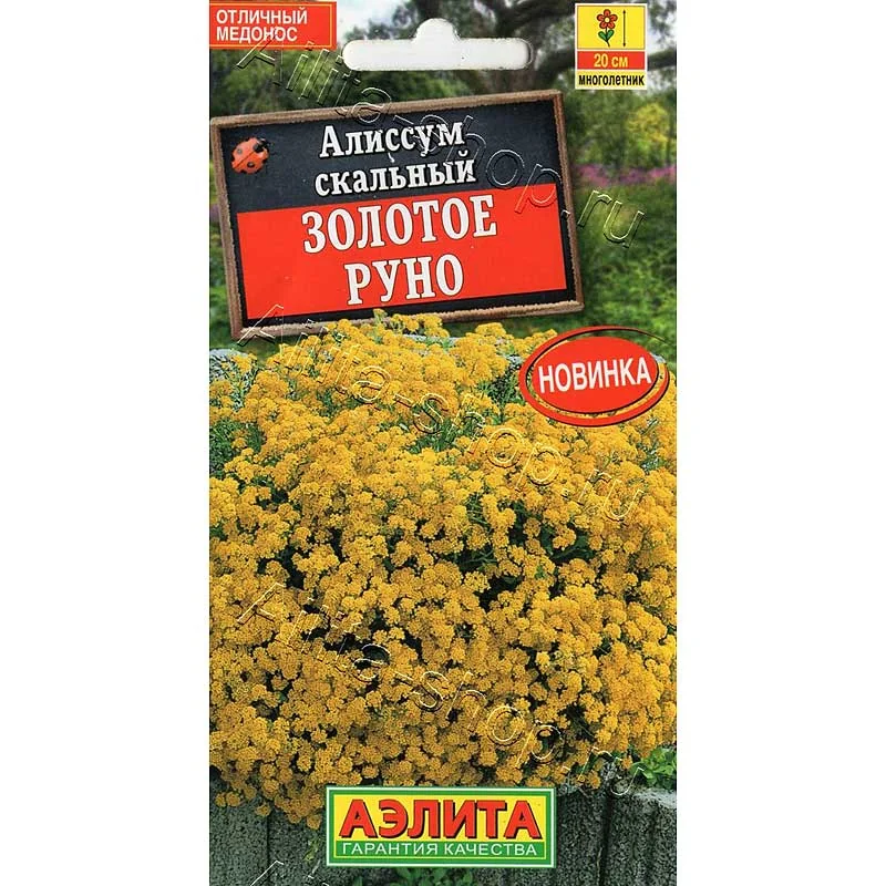 Семена Цветов Алиссум Золотое руно скальный Аэлита — фотография товара