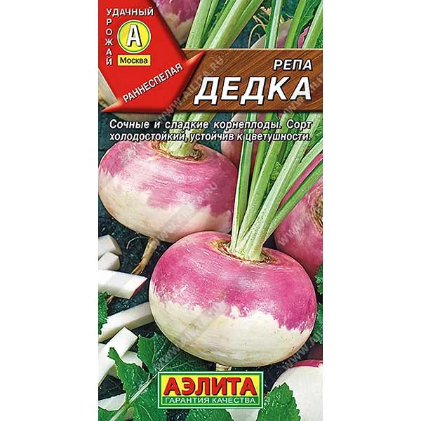 Семена Репа Дедка Аэлита — фотография товара