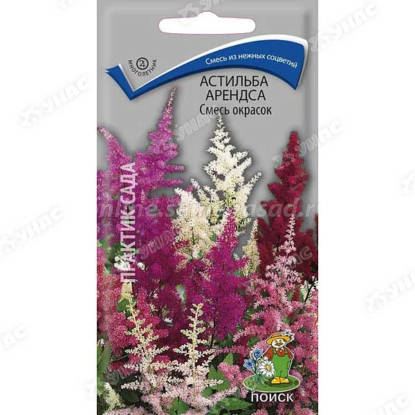 Семена цветов Астильба Арендса смесь Поиск — фотография товара