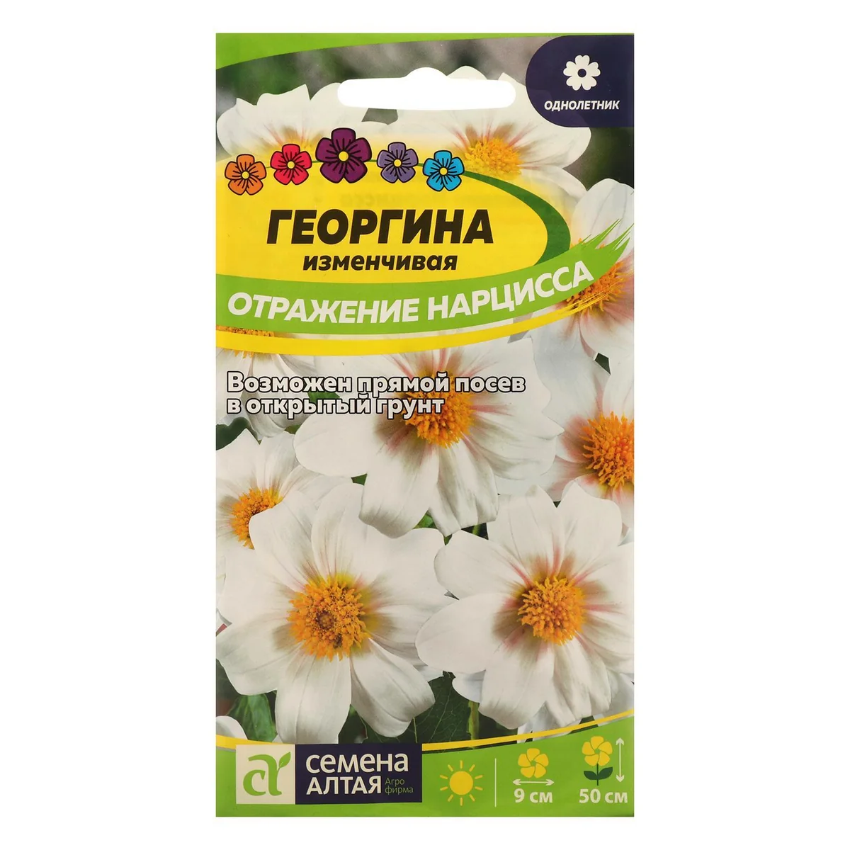 Семена цветов Георгина Отражение Нарцисса 0,2 г Семена Алтая — фотография товара