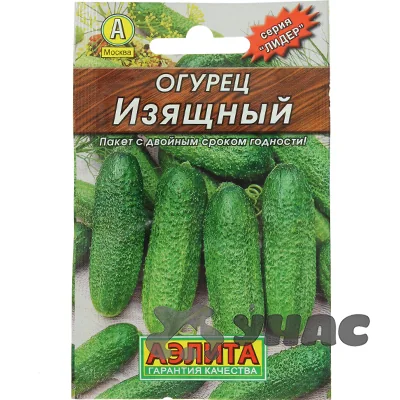 Семена Огурец Нежинский Аэлита — фотография товара
