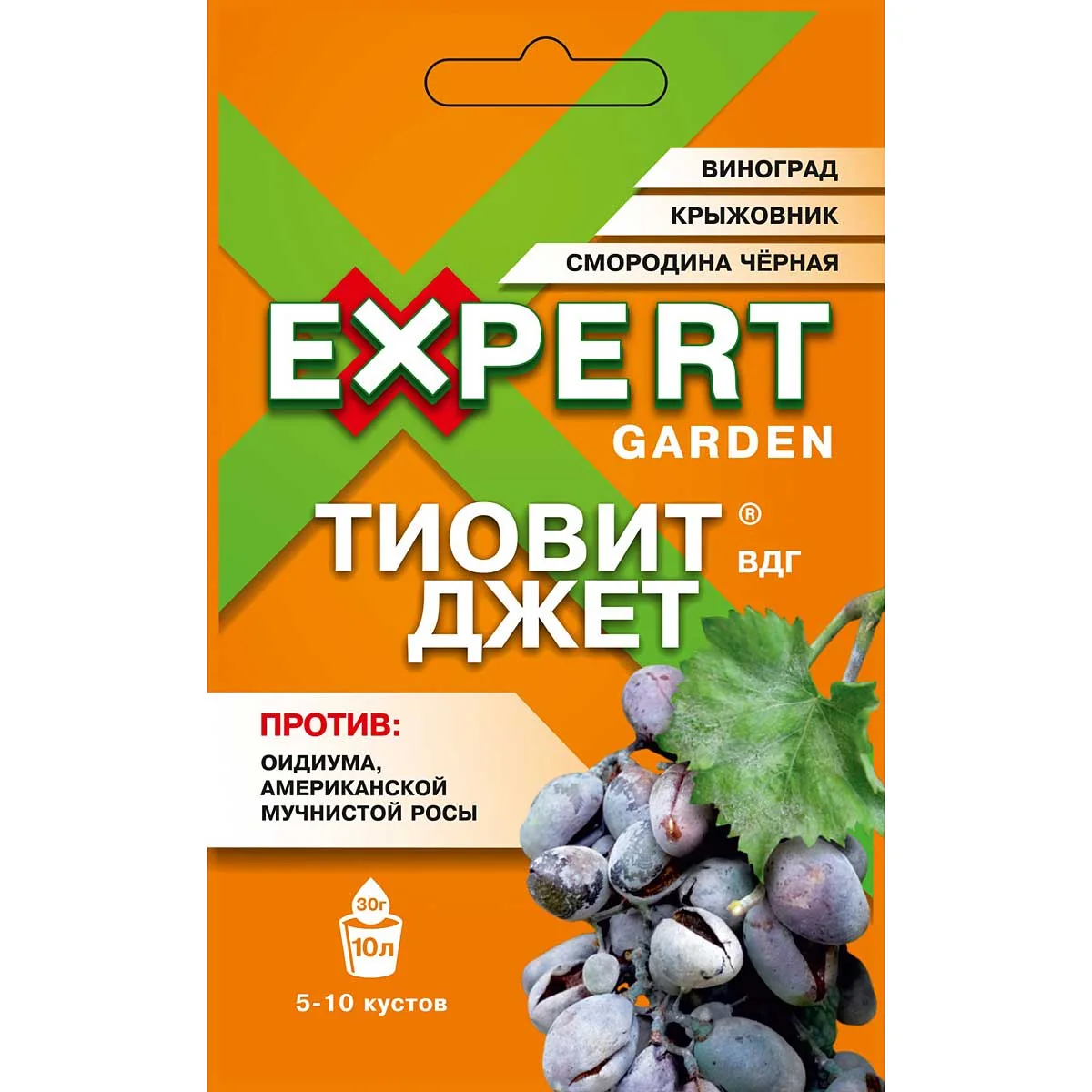Тиовит Джет от мучн. росы и паутинного клеща 30 г Expert Garden — фотография товара