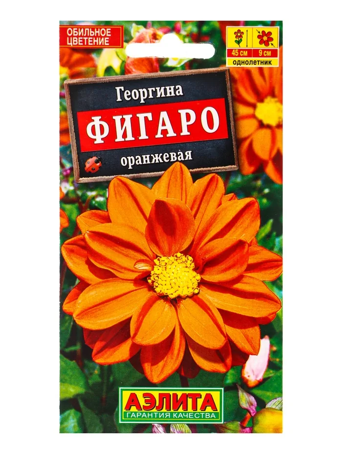 Семена цветов Георгина махровая Фигаро оранжевая Аэлита — фотография товара