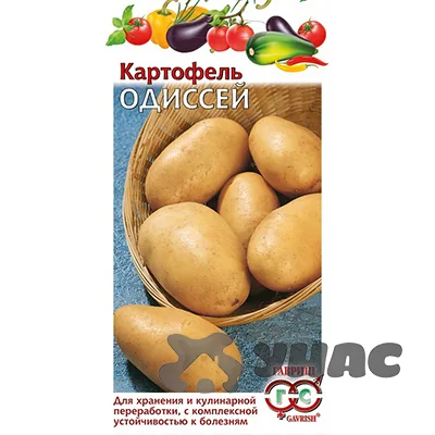 Семена Картофель Одиссей Гавриш — фотография товара